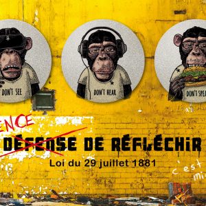 My FLASH - Singes de la Sagesse