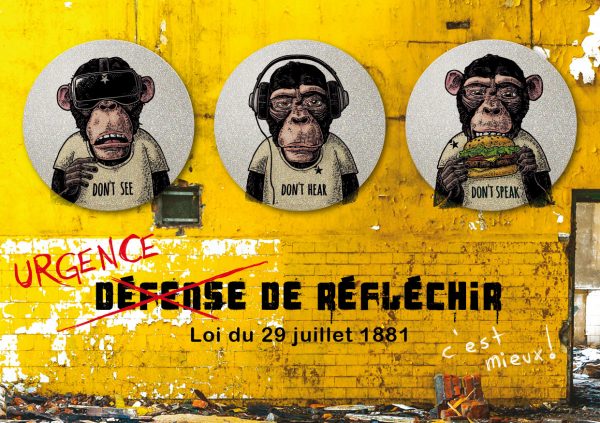 My FLASH - Singes de la Sagesse