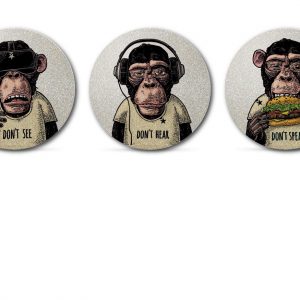 My FLASH - Singes de la Sagesse
