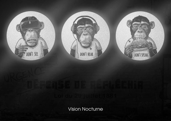 My FLASH - Singes de la Sagesse