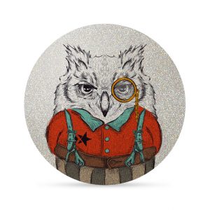 My FLASH * Class Owl