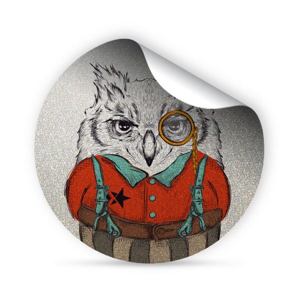 My FLASH * Class Owl – Image 2
