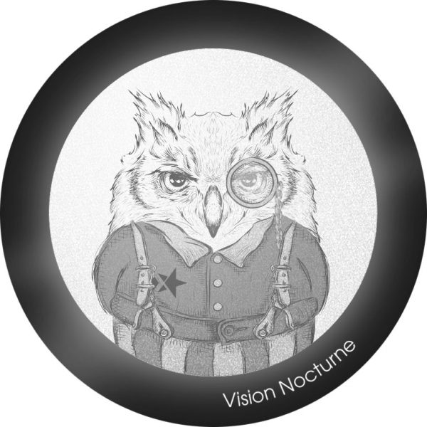 My FLASH * Class Owl – Image 3