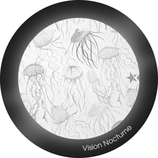 My FLASH * Colorful Jellyfish – Image 3