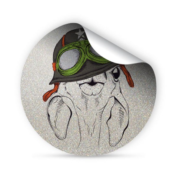My FLASH * Explorer Lama – Image 2