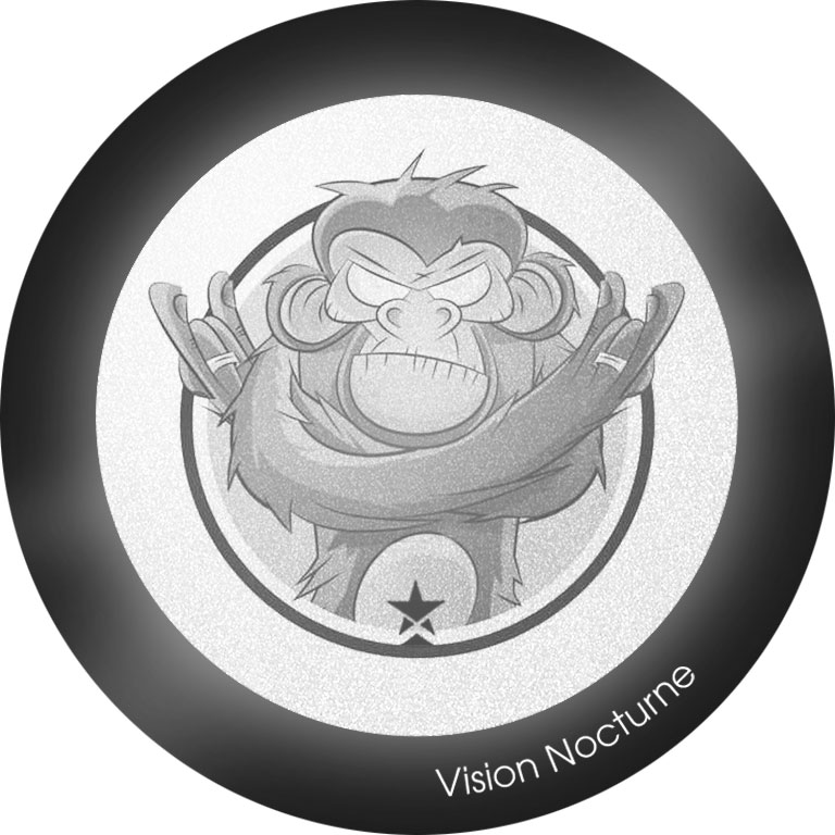 My FLASH * Fun Monkey – Image 3