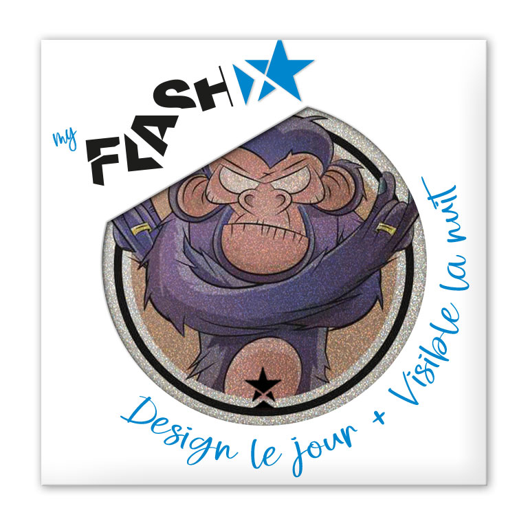 My FLASH * Fun Monkey – Image 4