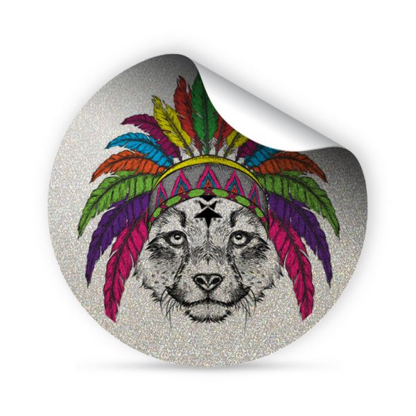 My FLASH * Indian Raccoon – Image 2