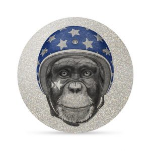 My FLASH * Modern Monkey