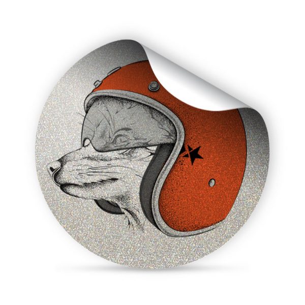 My FLASH * Pilot Fox – Image 2