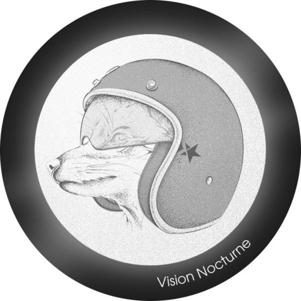 My FLASH * Pilot Fox – Image 3