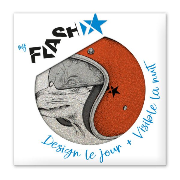 My FLASH * Pilot Fox – Image 4