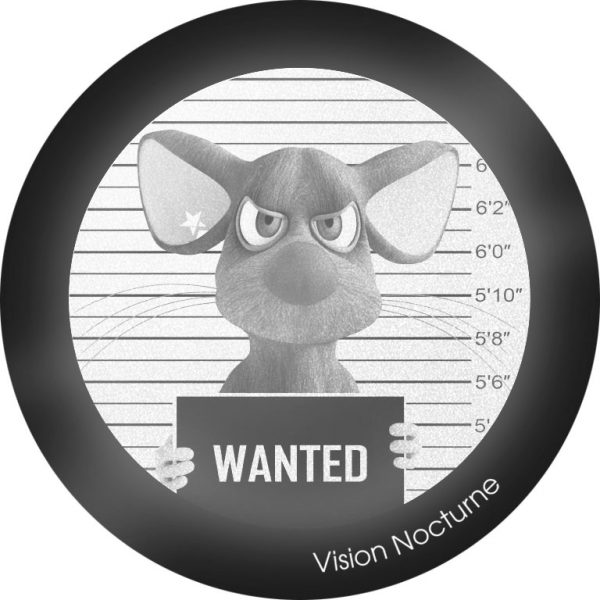 My FLASH * Wanted Mouse – Image 3