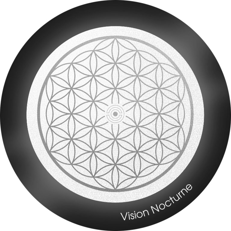 My FLASH ° Flower of Life – Image 3